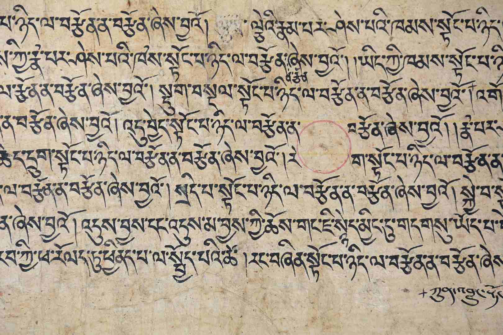 Page de Livre de Prières Bouddhistes Ancienne 69 cm x 21 cm Manuscrit en Tibétain Outchen