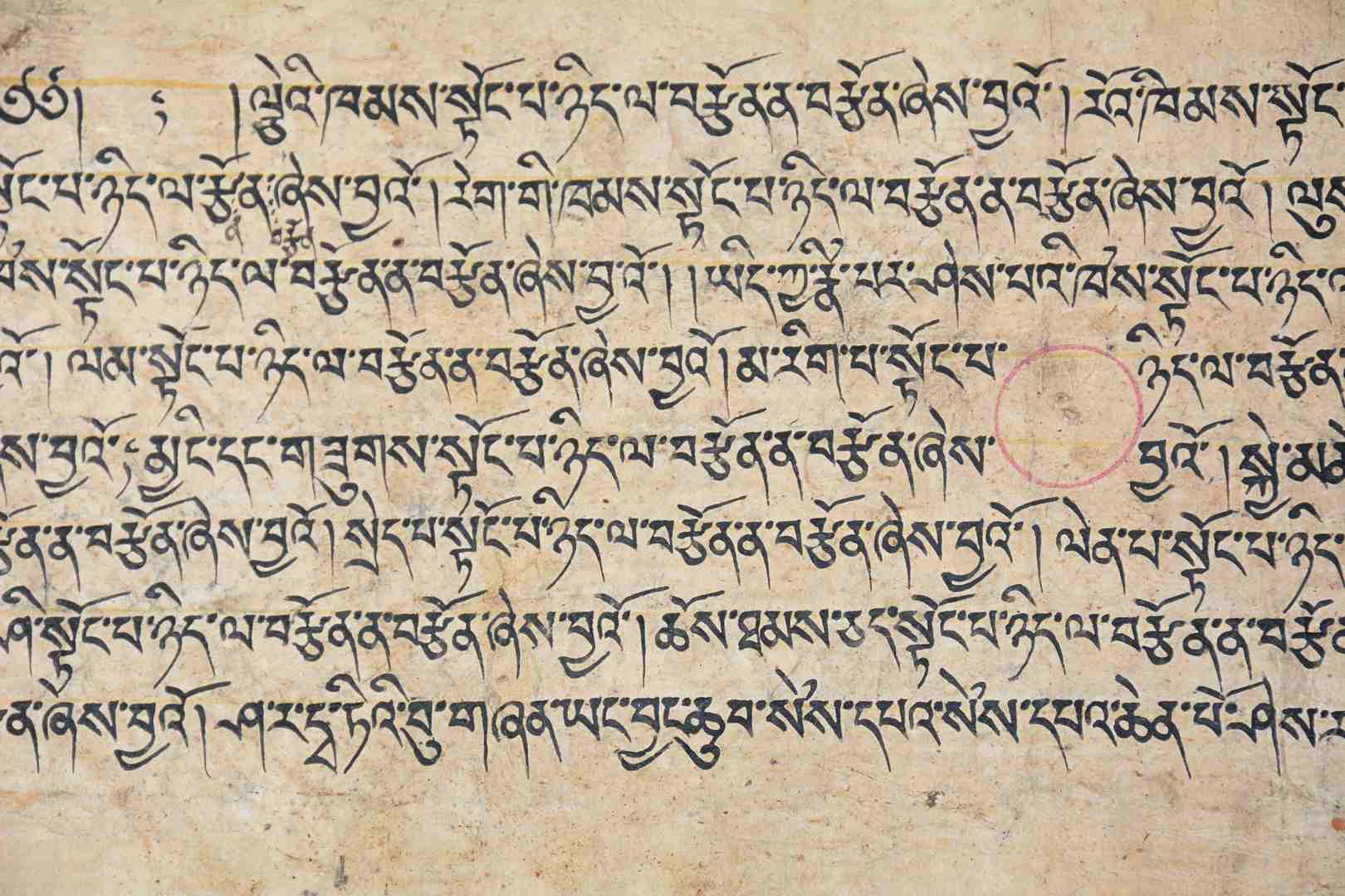 Page de Livre de Prières Bouddhistes Ancienne 69 cm x 21 cm Manuscrit en Tibétain Outchen